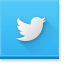 Follow PPFS on Twitter